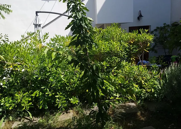 Appartement Stella Maris Veli Lošinj